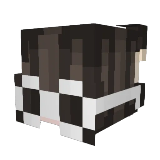 WillyWonka_123 Minecraft avatar head, 3D render