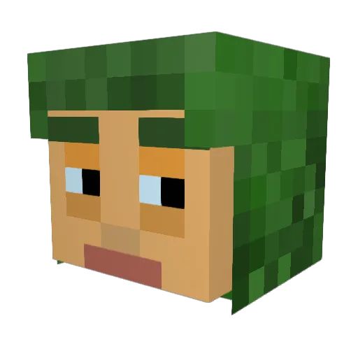 WillyWonkasToes Minecraft avatar head, 3D render