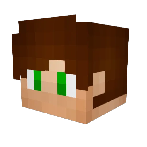 WillyYT Minecraft avatar head, 3D render