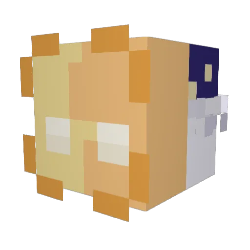 Willydo0o Minecraft avatar head, 3D render
