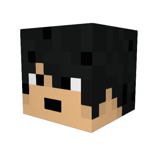 Willyjum Minecraft avatar head, 3D render