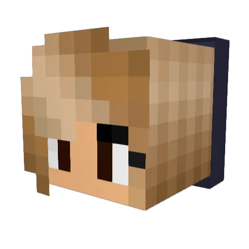 Willymo02 Minecraft avatar head, 3D render