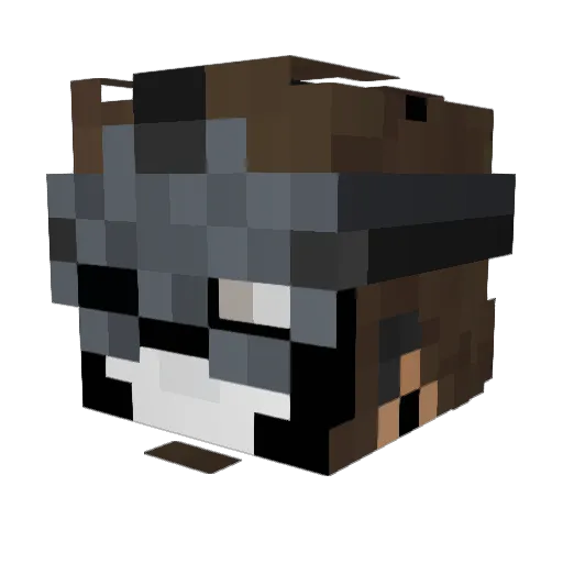 Willypepe67 Minecraft avatar head, 3D render