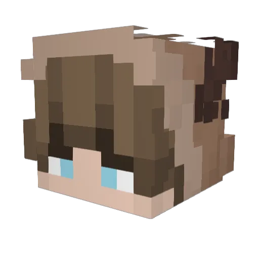 Willyrapv3 Minecraft avatar head, 3D render