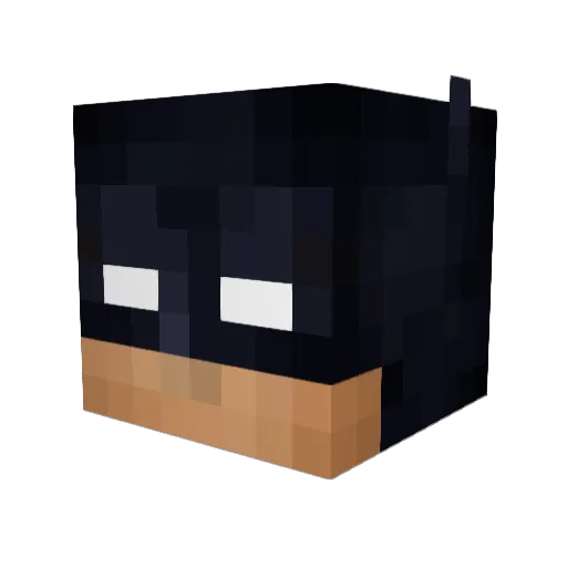 Willyrex7777 Minecraft avatar head, 3D render