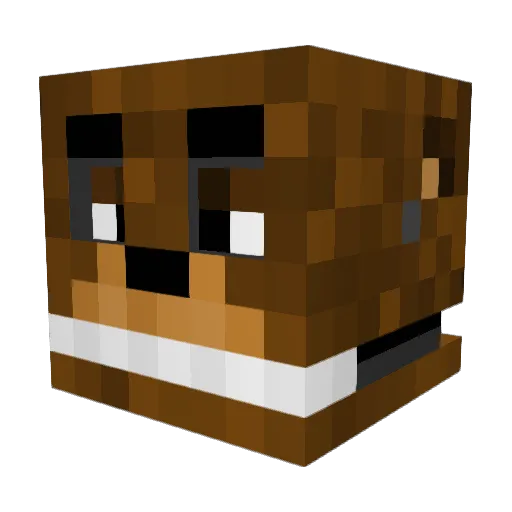 Willythegod69 Minecraft avatar head, 3D render