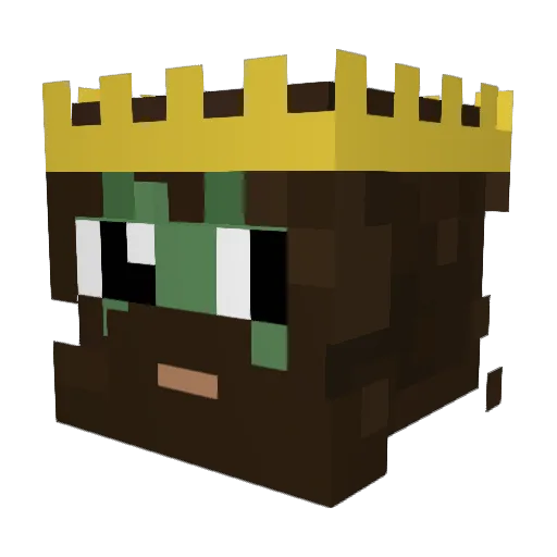 Willyy2008 Minecraft avatar head, 3D render