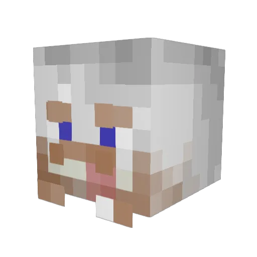 Willyyums Minecraft avatar head, 3D render