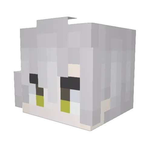 Willz398 Minecraft avatar head, 3D render