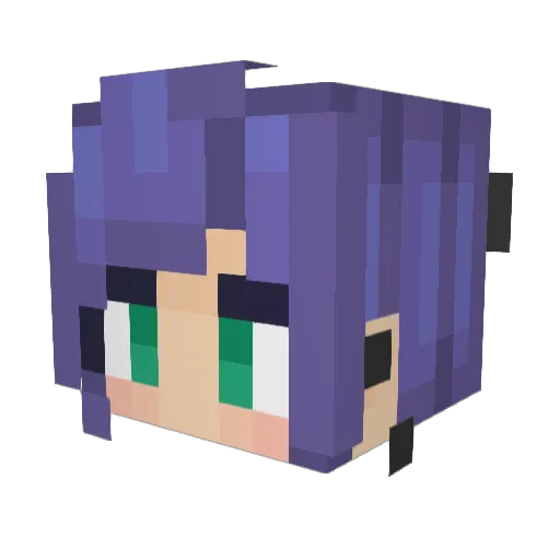 WilmaGamer Minecraft avatar head, 3D render