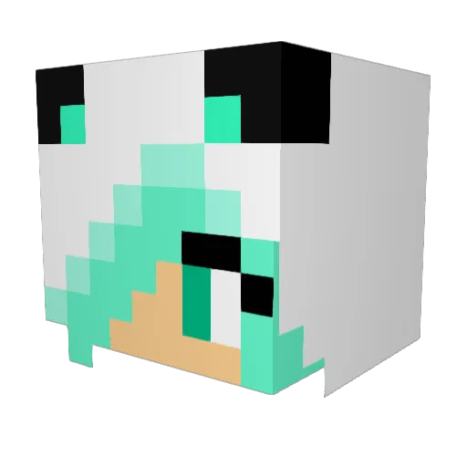 WilmaHMP Minecraft avatar head, 3D render