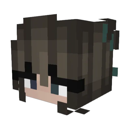 WilmaSouth Minecraft avatar head, 3D render