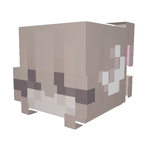 Wilmis13 Minecraft avatar head, 3D render