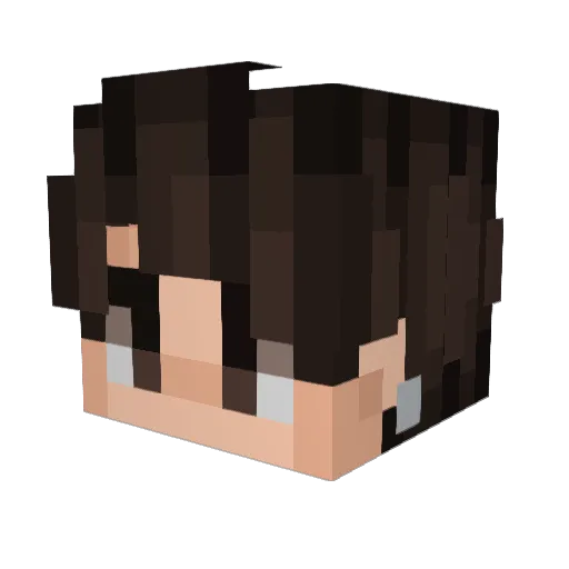 Wilmsedino05 Minecraft avatar head, 3D render