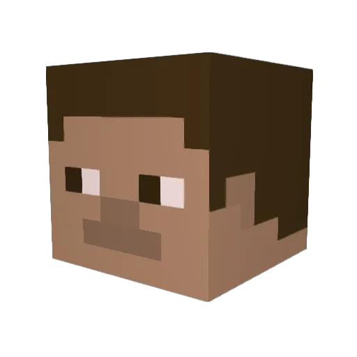 Wilosn23 Minecraft avatar head, 3D render