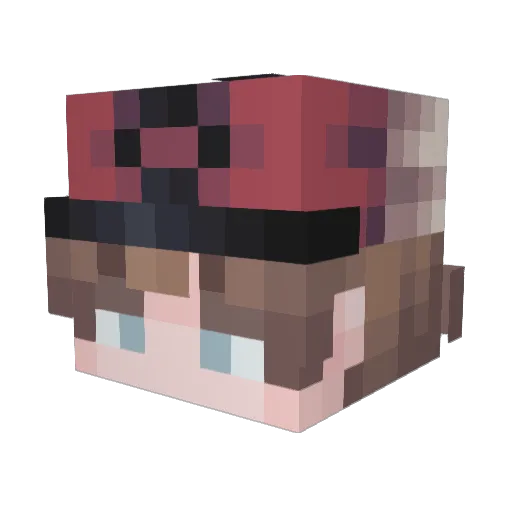 Wils0nb Minecraft avatar head, 3D render