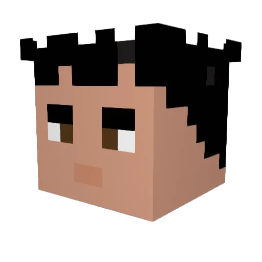 Wilsombie Minecraft avatar head, 3D render