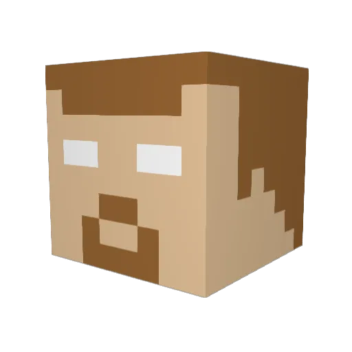 Wilson0406 Minecraft avatar head, 3D render