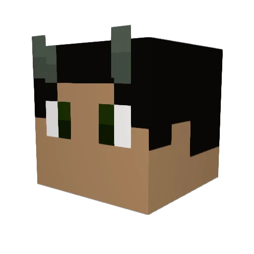 Wilson205 Minecraft avatar head, 3D render