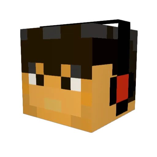 Wilson6783 Minecraft avatar head, 3D render