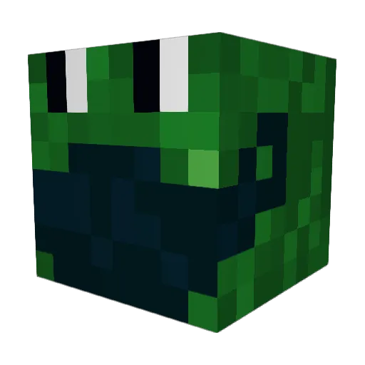 Wilsonas05 Minecraft avatar head, 3D render
