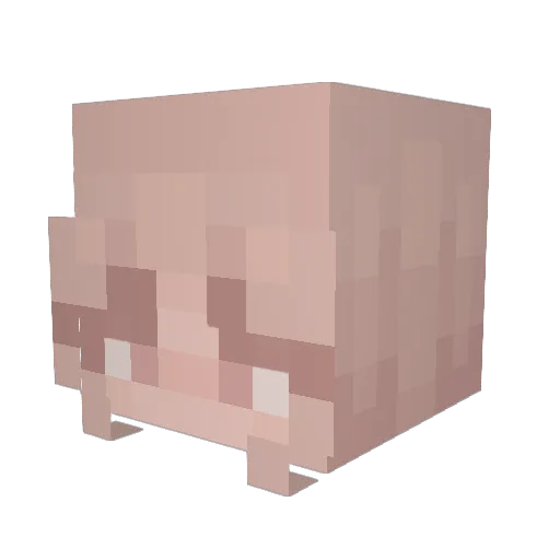 Wilsonfam3 Minecraft avatar head, 3D render
