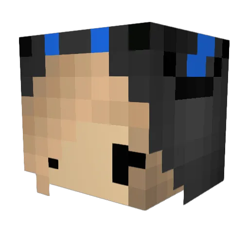 Wilsonseyebrow Minecraft avatar head, 3D render