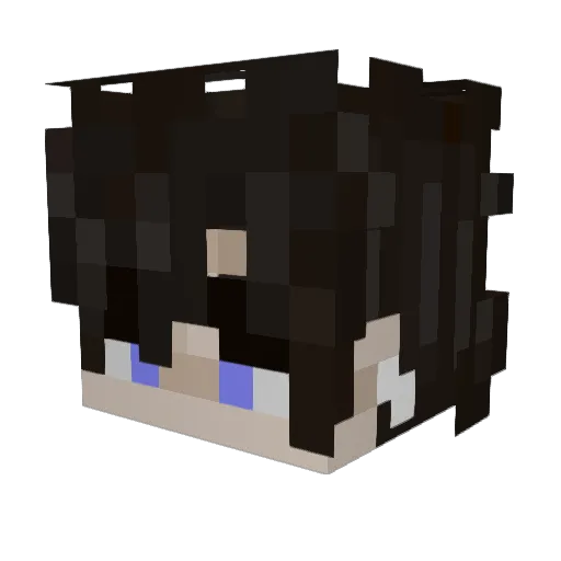 WiltedNocturn Minecraft avatar head, 3D render