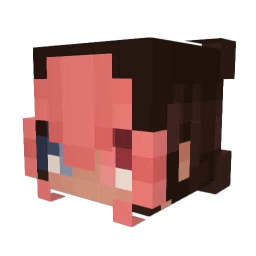 WiltedR0seC0 Minecraft avatar head, 3D render