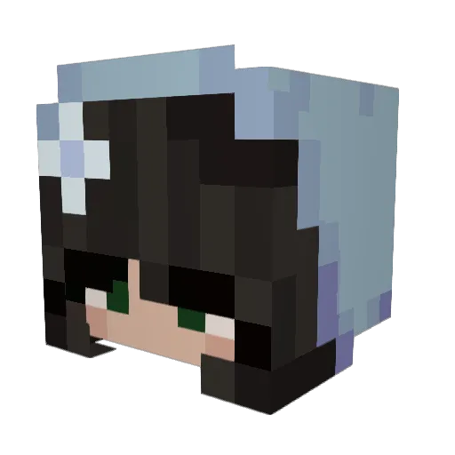 Wilted_Lily Minecraft avatar head, 3D render