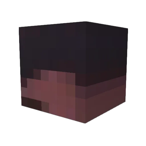 Wilvent Minecraft avatar head, 3D render