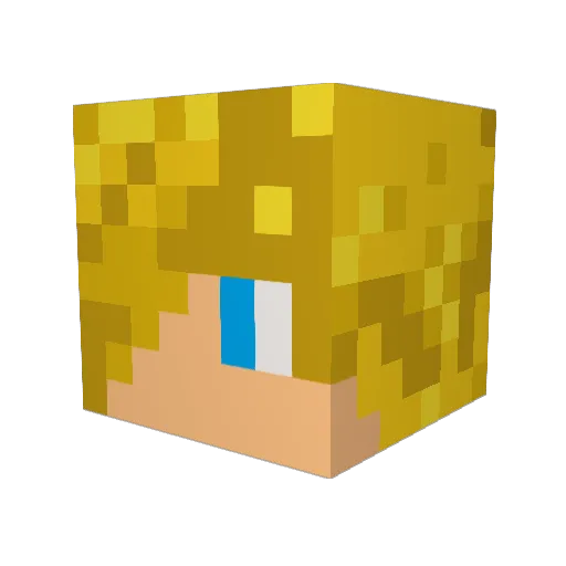 Wilz0n Minecraft avatar head, 3D render