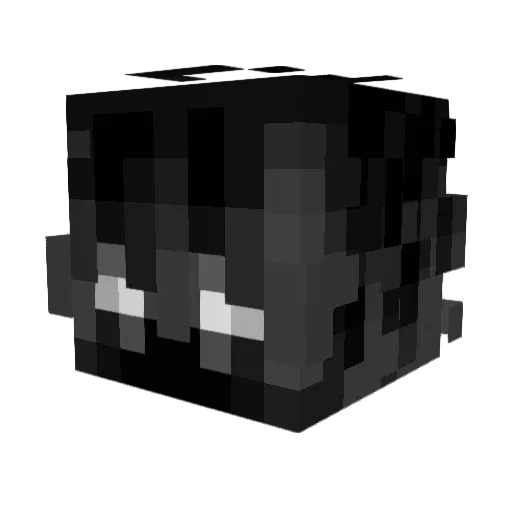 Wilzy_Wonka Minecraft avatar head, 3D render