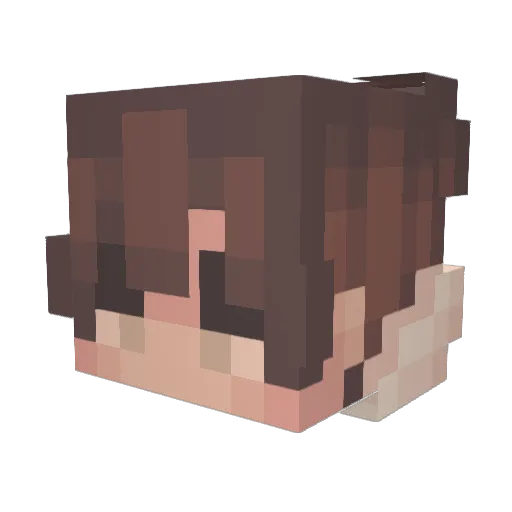 Wim_Wam_Woo Minecraft avatar head, 3D render
