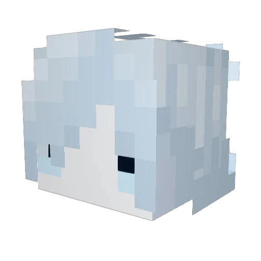 Wimble1225 Minecraft avatar head, 3D render