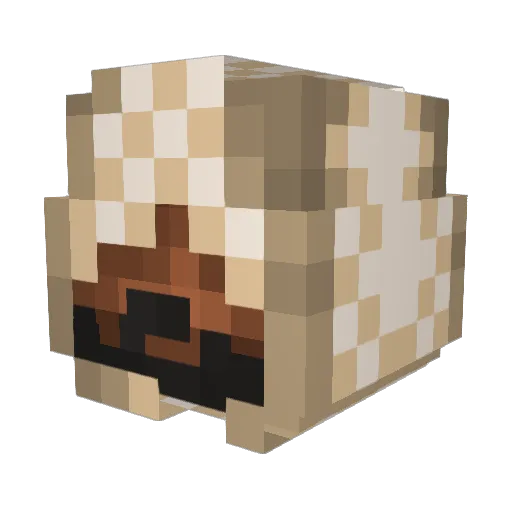 WimbleWombles Minecraft avatar head, 3D render