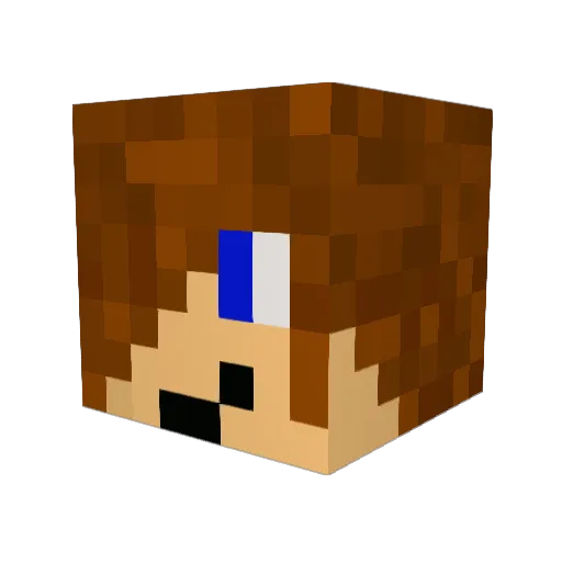 Wimbykid Minecraft avatar head, 3D render