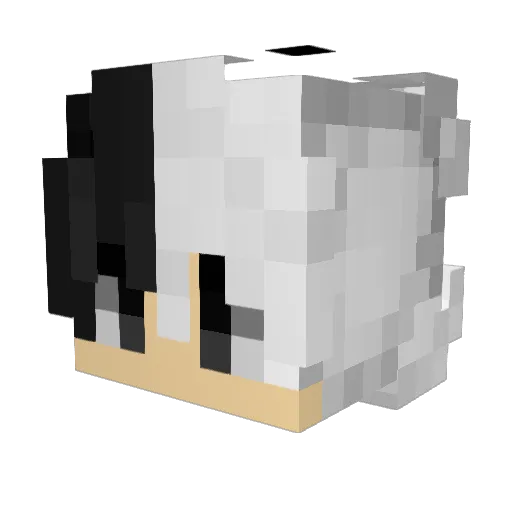 Wimix14 Minecraft avatar head, 3D render