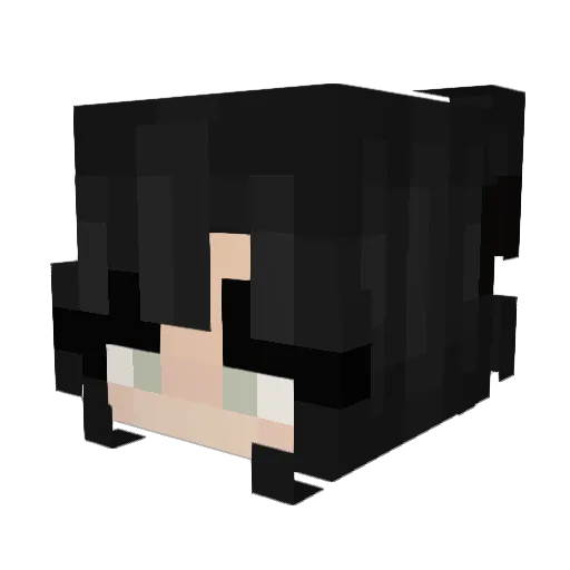 Wimnie Minecraft avatar head, 3D render
