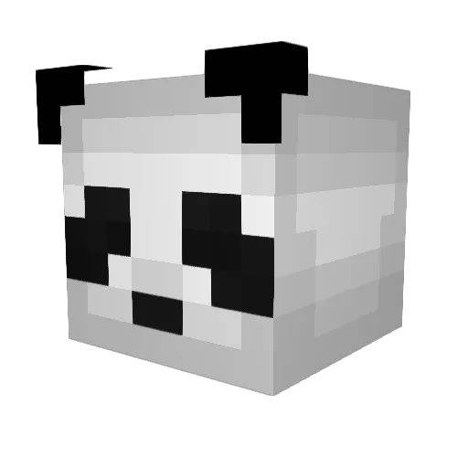 Wimpie567 Minecraft avatar head, 3D render