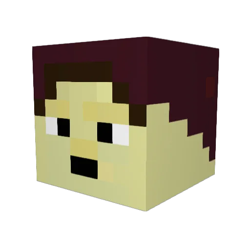 WimpyKid0330 Minecraft avatar head, 3D render