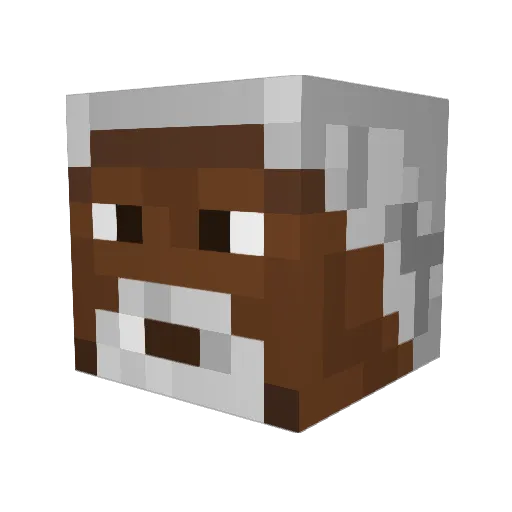 WimpyKid8701 Minecraft avatar head, 3D render