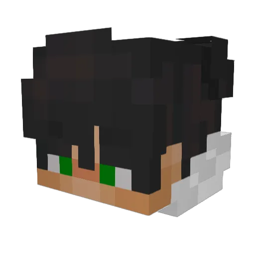 Win1rPlayz_ Minecraft avatar head, 3D render