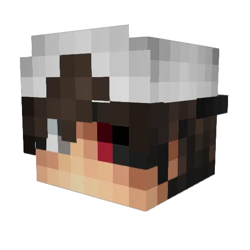 WinCrash91 Minecraft avatar head, 3D render