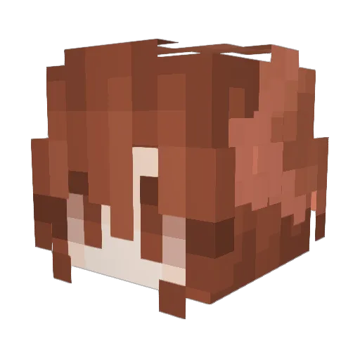WinNoNamex Minecraft avatar head, 3D render