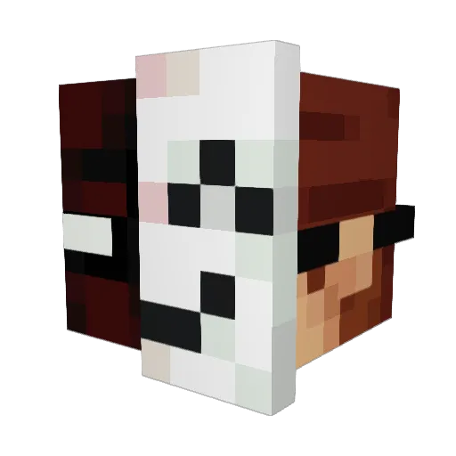 WinSweep Minecraft avatar head, 3D render