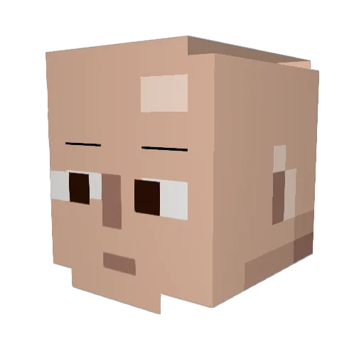 WinTheInternet Minecraft avatar head, 3D render
