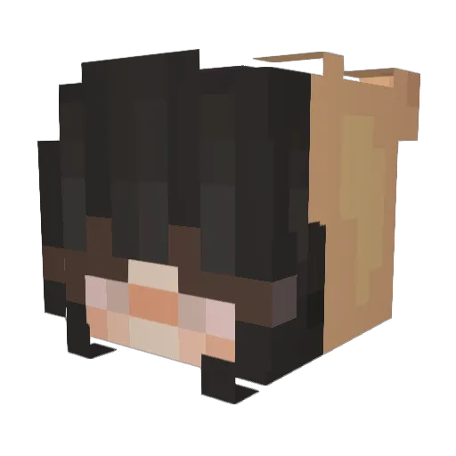 Win_Ny Minecraft avatar head, 3D render