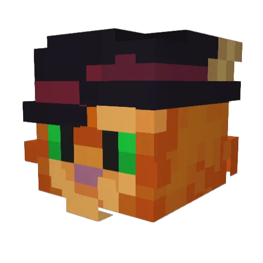 Win_Token Minecraft avatar head, 3D render