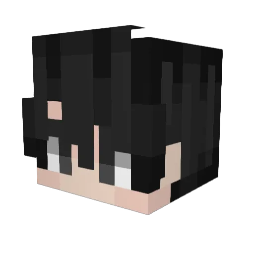 Wincerys Minecraft avatar head, 3D render